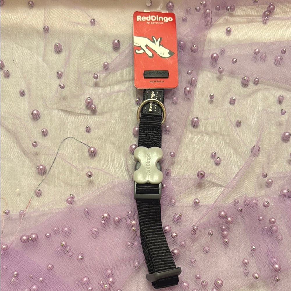 Red Dingo Black Dog Collar